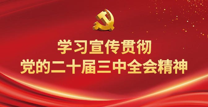 学习宣传贯彻党的二十届三中全会精神